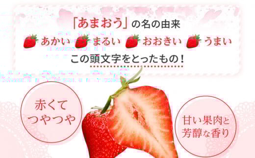 フローズンあまおう2kg(500g×4袋)　BD11