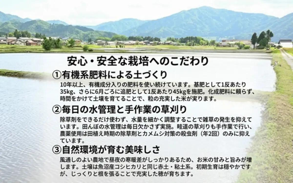 【ふるさと納税】【令和7年産】【勝山市産】農業人生60年小林さんのコシヒカリ 精米 10キロ / 選べる お米 米 ご飯 ブランド米 こしひかり 白米 精米 国産 北陸 福井県産 勝山市 【B-102