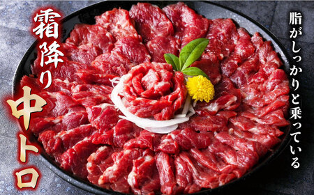 【6回定期便】赤身 & 霜降りの「2種食べ比べセット 」 (赤身 約50g×10パック 中トロ 約50g×10パック) 計1kg 専用醤油付き 国産 馬刺し赤身 国内肥育 霜降り中トロ 約1キロ たっ