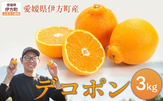 【先行予約】デコポン3kg ※離島への配送不可 （2027年2月10日より順次発送予定） IKTAG005 