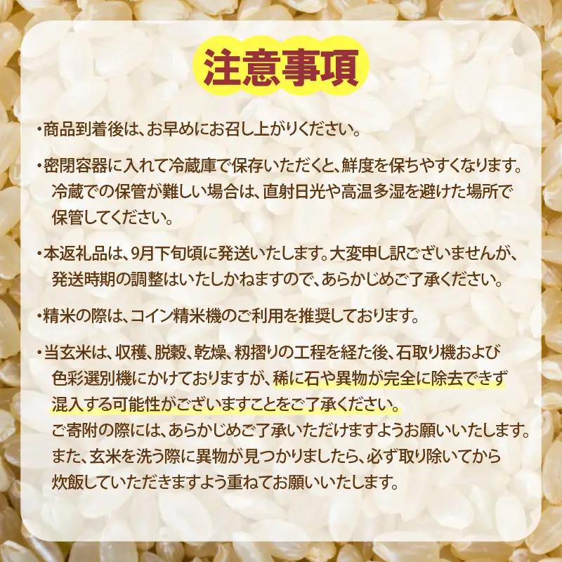 【先行予約】【令和8年産・新米】コシヒカリ 玄米 20kg / コシヒカリ 米 こしひかり【2026年9月下旬より順次発送予定】 [aw096-d004]