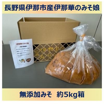 ふるさと納税 伊那市 伊那華のみそ娘　みそ　5kg箱