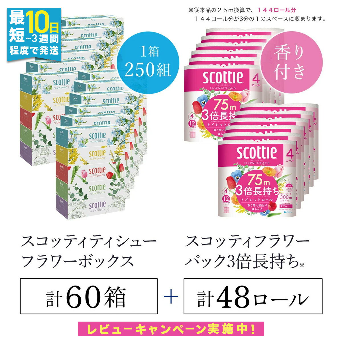 【ふるさと納税】ボックスティッシュ60箱＋トイレットロール48ロール セット / スコッティ ティッシュ トイレットペーパー セット 大容量 まとめ 大人気 おすすめ 肌触り 日本製 たっぷり ストック 家族 消耗品 リピート クレシア 回数 日用品 京都府 福知山市 FCAS025