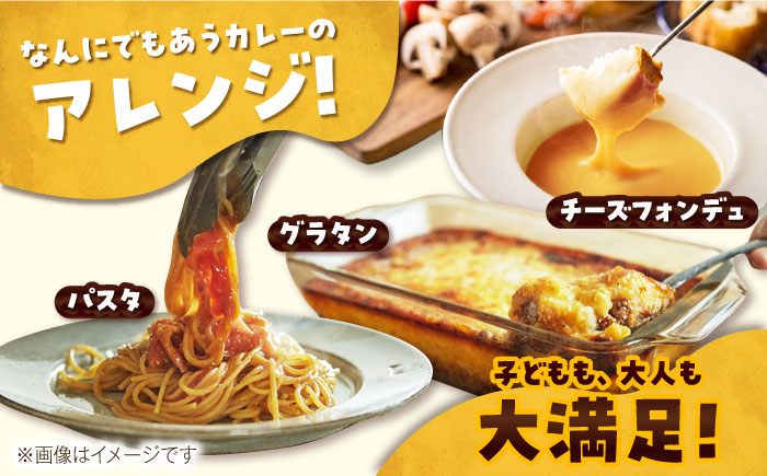 【全3回定期便】ごとのカレー4種セット / カレー カレーライス レトルト 常温 五島市 / ごと [PBY030]