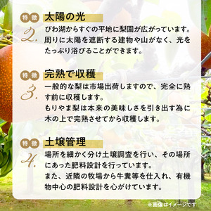 びわこもりやまフルーツランド  もりやま梨　豊水ご自宅用【８月下旬～９月お届け】