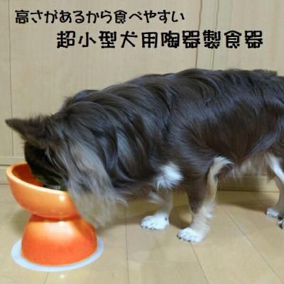 ふるさと納税 奈良市 ペット用食器 超小型犬種用 陶器製食器 オレンジ 9-056 53621-2-CHOB1