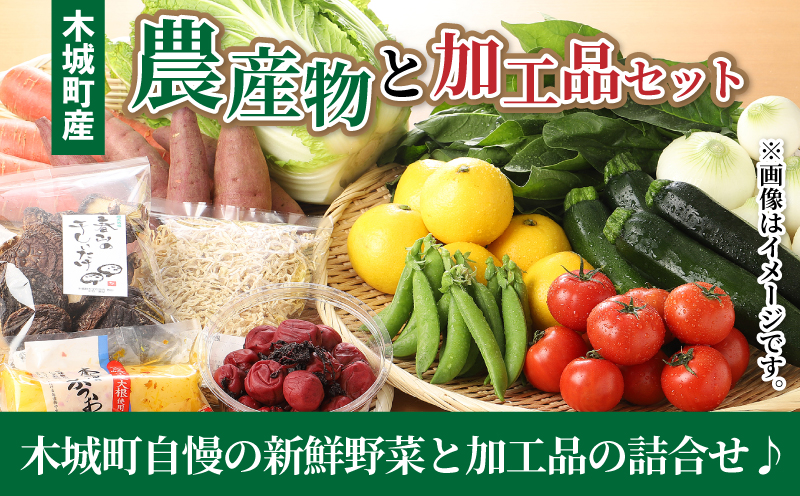 ＜木城町産農産物と加工品セット＞K04_0001_2