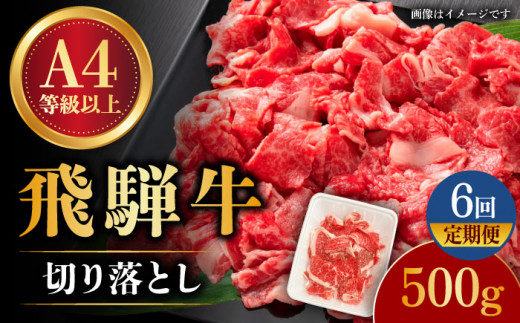 【 6回 定期便 】【 飛騨牛 】 切り落とし 500g × 6回 ( 計 3kg )  和牛 ブランド牛 国産 多治見市/肉の丸長  [TAZ013]
