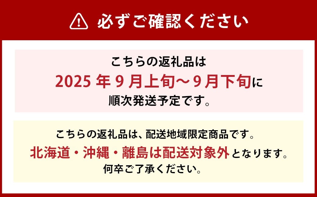 岡山県美咲町産 桃 【西王母】 5～7玉入り 約2kg