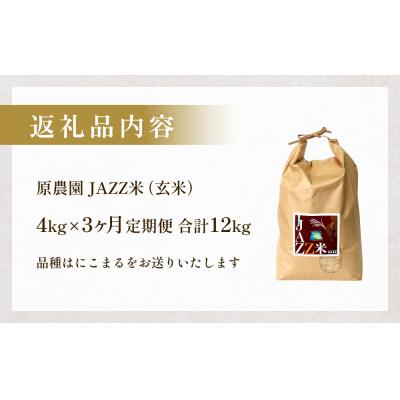 ふるさと納税 玖珠町 令和7年産 原農園 JAZZ米 (玄米) 4kg 3回定期便 にこまる |  | 02