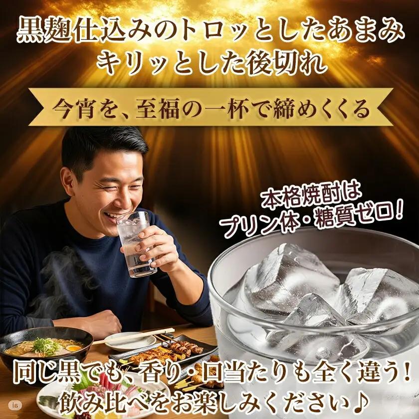 【ちび霧セット】黒霧島・黒霧島EX 25度900mlパック各1本≪みやこんじょ特急便≫_LG8-M801_(都城市) 10日以内お届け スピード配送 霧島酒造 黒霧島EX 黒霧島 本格芋焼酎 25度 