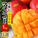 【ふるさと納税】今帰仁マンゴー特選1kg【先行予約】【2025年6月中旬～7月頃発送】生産者直送