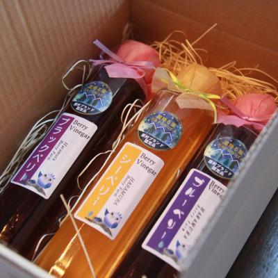 ふるさと納税 原村 八ヶ岳の大自然で育ったベリービネガー3本セット(ブラックベリー、シーベリー、ブルーベリー) |  | 03
