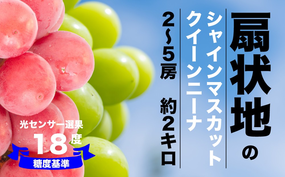 
                  2026年発送【糖度検査済】シャインマスカットとクイーンニーナの詰合せ【約2kg】 肥沃な大地と沢山の日光で育った扇状地のブドウ【バイパス清果園】山梨県 笛吹市 一宮 果物 フルーツ 新鮮 有機 国産 高級 美味しい 人気 おすすめ 贈答 ギフト 赤 葡萄 ぶどう ブドウ グレープ 令和8年 206-029
                