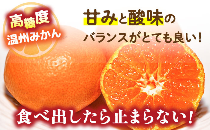 【2024年12月〜発送】【大満足！ 2回 定期便 】温州みかん 約5kg / みかん 南島原市 / 南島原果物屋 [SCV017]