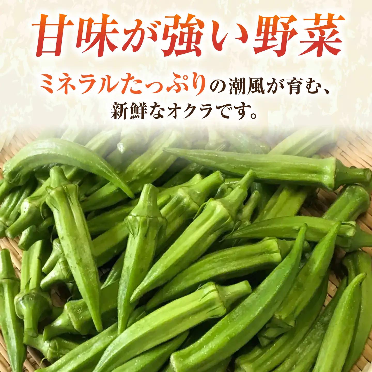 【ふるなびWEEK対象】先行予約 オクラ 約1kg AKCE023-FW オクラ