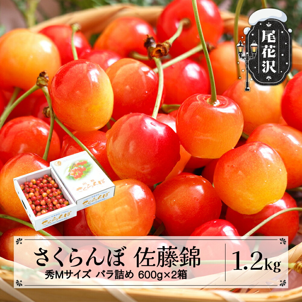 【ふるさと納税】先行予約 さくらんぼ 佐藤錦 秀Mサイズ バラ詰め 1.2kg(600g×2箱) 2026年産 令和8年産 山形県産 送料無料 サクランボ※沖縄・離島への配送不可