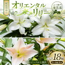 【ふるさと納税】ユリ専門＜深花園＞観賞用ゆり オリエンタルリリー 3～4輪6本 F23R-497