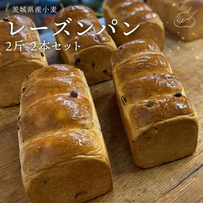 茨城県産 小麦の レーズンパン 2斤 2本 セット 食パン パン 小麦 冷凍 レーズン プレゼント ギフト [AU007ci]
