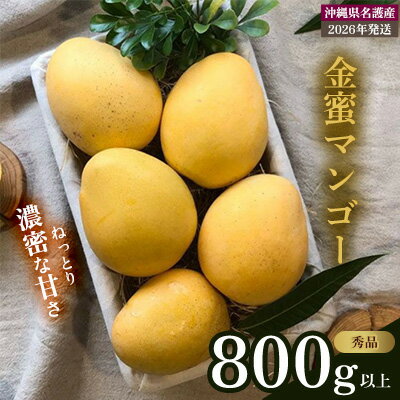 【ふるさと納税】【2026年 先行予約 数量限定】マンゴー好きに食べてもらいたい！金蜜マンゴー 秀品800g以上 秀品 先行予約 沖縄 甘味 糖度 濃厚 おいしい お土産 まんごー きんみつ ギフト プレゼント 果実 くだもの 果物 ふるさと納税 送料無料 トロピカル 名護市 フルーツ
