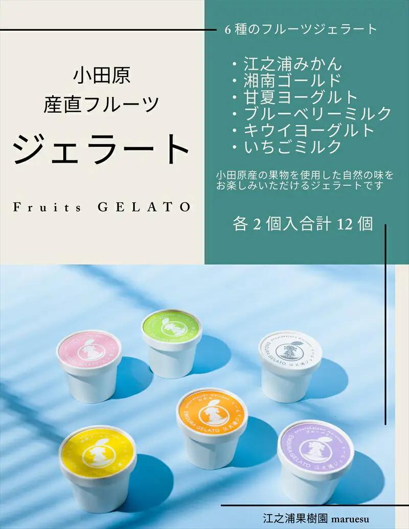 【定期便（2カ月ごと全3回）】小田原産江之浦ジェラート６種（みかん、湘南ゴールド、ブルーベリーミルク、いちごミルク、キウイヨーグルト、甘夏ヨーグルト）120mlカップ各２個合計１２個【ジェラート ジェラート 神奈川県 小田原市 】
