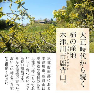 【先行予約】かせやまの柿 富有柿　Lサイズ 約3.5kg 京都 柿 鹿背山の柿 かき 015-01