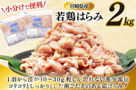 鶏肉 若鶏 はらみ 2kg 鶏はらみ