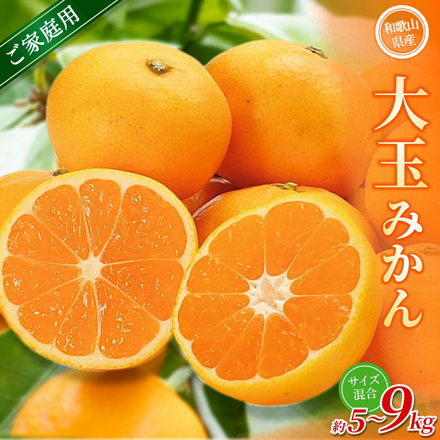 【ふるさと納税】【家庭用】 森本農園の手選別 大玉みかん 約5～9kg 和歌山県産 【北海道・沖縄・離島配送不可】【2025年11月上旬～2026年2月中旬ごろに順次発送】【BV-mrmt069-071】