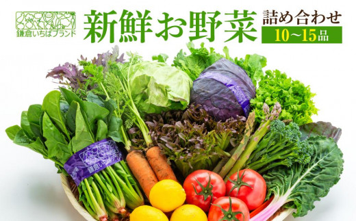 「鎌倉いちばブランド」新鮮お野菜詰め合わせセット 10～15品 | 人気 野菜 詰合せ 詰め合わせ セット 新鮮野菜 詰め合わせセット 野菜セット 季節の野菜 鎌倉野菜 地元産 お取り寄せ おすすめ 送料無料 神奈川 鎌倉