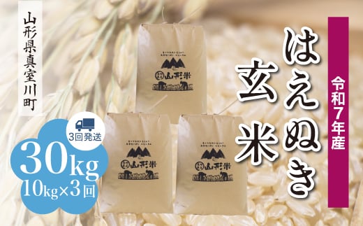 ＜令和7年産米＞ はえぬき 【玄米】 30kg定期便 （10kg×3回発送）＜配送時期指定可＞　山形県真室川町