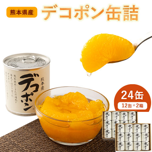 デコポン缶詰24缶入り (12缶×2箱)《60日以内に出荷予定(土日祝除く)》熊本県 葦北郡 津奈木町 あしきた農業協同組合 JAあしきた 柑橘 デコポン フルーツ 果物 缶詰 送料無料