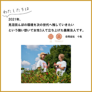 【十色とうがらしファーム】世界のとうがらし詰合せ＜ヨーロッパ＞【11100-0811】