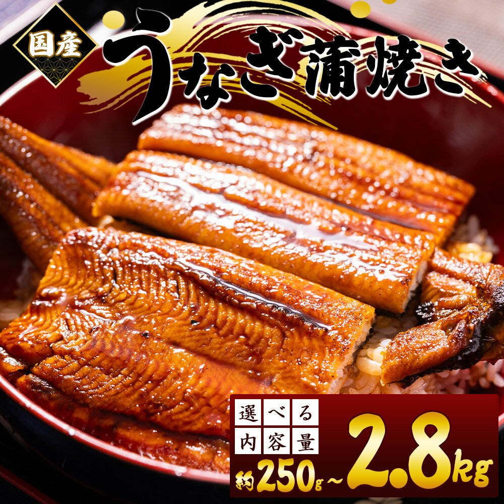 【ふるさと納税】国産 養殖うなぎ蒲焼き (選べる内容量:250g～2.8kg) - 国産 鰻 ウナギ 養殖 かばやき タレ付き たれ おつまみ スタミナ 土用の丑の日 うな丼 うな重 丼ぶり 一品 おかず 香南市 レビューキャンペーン実施中