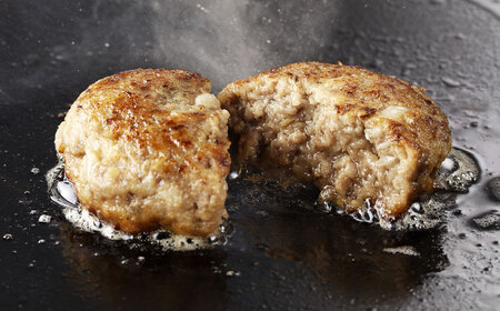 おやじのつくったハンバーグ 120g×8個 佐賀牛 ハンバーグ 吉野ヶ里町/雄勝[FDW001]