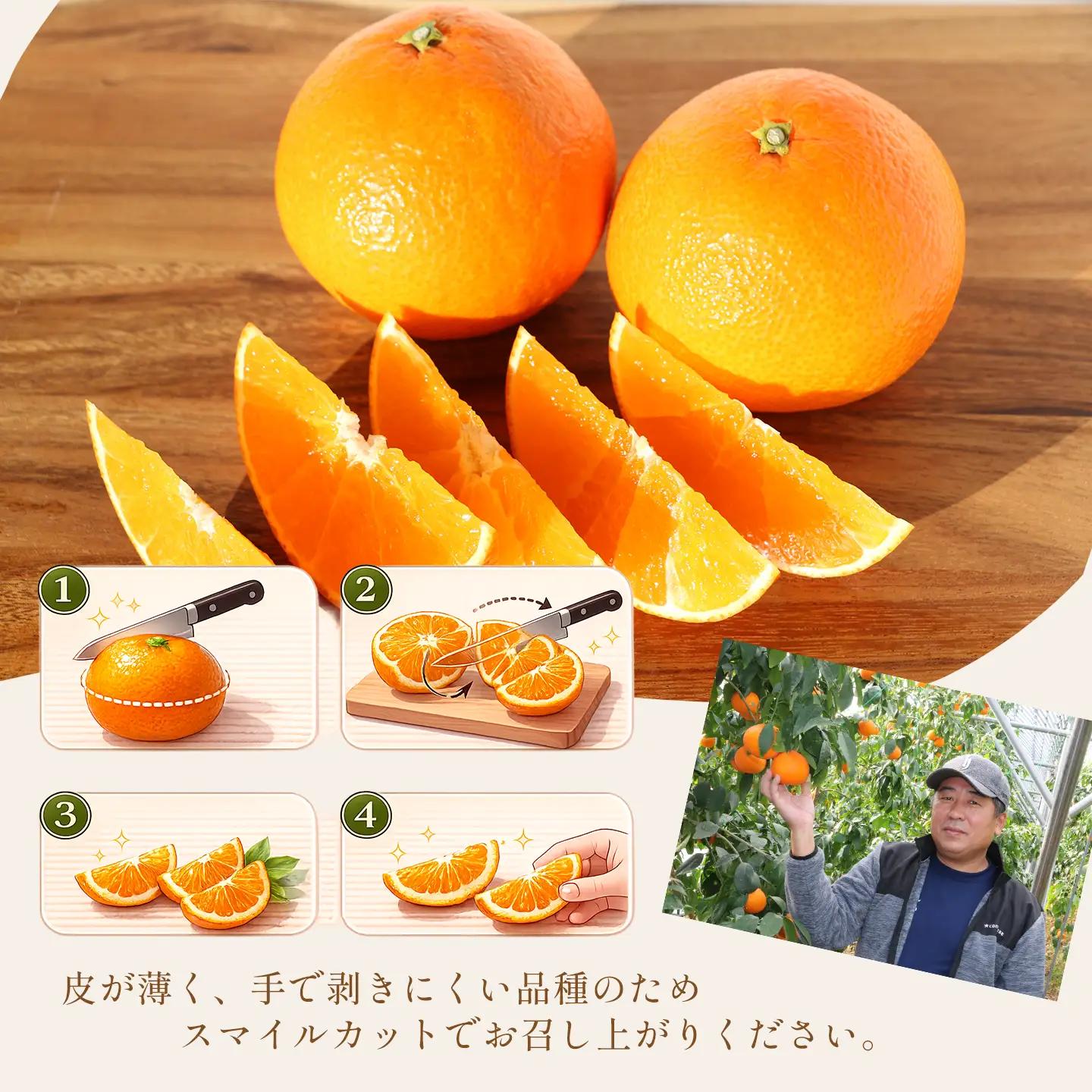 まどんな 約3㎏【秀品･化粧箱（L～4L）8～15個入】｜あいか 紅まどんなと同品種