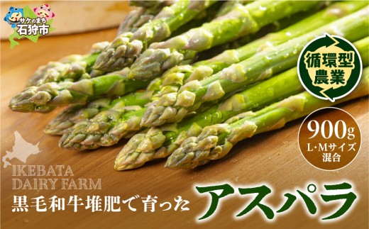 【先行予約】北海道産 アスパラ 900g【5月発送】｜ふるさと納税 野菜 アスパラガス 北海道 石狩市 