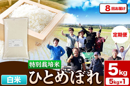 《定期便8ヶ月》令和7年産【白米】特別栽培米 ひとめぼれ 5kg 秋田県産 [ひとめぼれ 米 お米 白米 精米 特別栽培米 ブランド米 食卓 秋田県産 秋田県 由利本荘市]