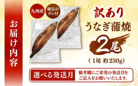 【選べる発送月】訳あり 鹿児島産 うなぎ 蒲焼 2尾セット 桂川町/山水商事[ADAH029]