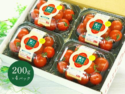 11月末～12月発送予約【霧のトマト】 霧で育てたおいしさ抜群の味！　ミニトマト200ｇ×4パック　06-16