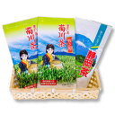 【ふるさと納税】【選べる容量】こだわり製法で作った 高級 菊川茶 2袋 3袋 4袋 1袋あたり100g【深蒸し 煎茶】2種 菊川深蒸し茶 静岡茶 深蒸し茶 お茶 緑茶 茶 日本茶 詰め合わせ お取り寄せ 静岡県 菊川市 送料無料