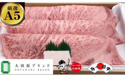 大田原市公式「大田原ブランド」認定第1号「与一和牛」特選焼肉スライス400ｇ