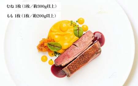 【新庄市×戸沢村×金山町 共通返礼品】最上のお肉バラエティセット（最上鴨・戸澤豚・山形牛） 鴨肉 牛肉 豚肉  FAE-0004