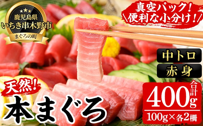 
                  \新登場!/ 天然! 本マグロ 冷凍 中トロ 100g×2 赤身 100g×2 計400g  刺身 便利 な 小分け の 真空 で お届け! 食べ比べ セット 【00-041-15】
                