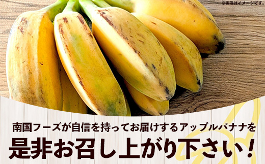 国産 希少種！南国フーズのアップルバナナ 約5kg - バナナ ばなな 小ぶり 沖縄県 産地直送 果物 フルーツ 南国 朝食 おすすめ 沖縄県 八重瀬町