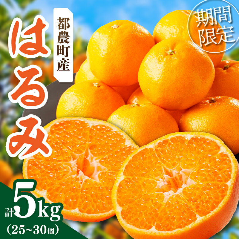 【ふるさと納税】先行予約 数量限定 希少な 柑橘 はるみ 5kg フルーツ 果物 くだもの みかん ポンカン オレンジ 果実 薄皮 甘い 果肉 食品 グルメ デザート 人気 おすすめ おすそ分け 手土産 おやつ 詰め合わせ お取り寄せ 宮崎県 都農町 送料無料