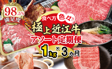 【期間限定】極上近江牛1kg　食べ方色々！アソート定期便【ZZ50U】