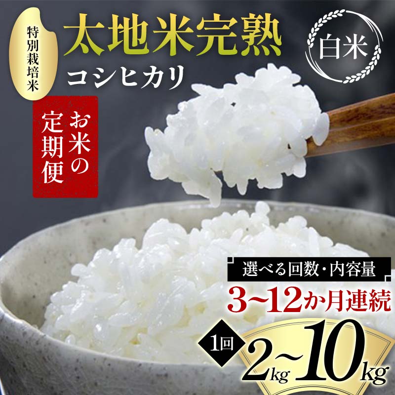 【ふるさと納税】＼選べる回数・内容量／ お米の定期便 特別栽培米 太地米完熟 【こしひかり】 白米 2kg 3kg 5kg 10kg × 3か月 6か月 9か月 12か月 ブランド米 お米 精米 白米 人気 F7X-0364var