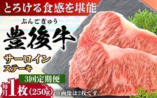 【全3回定期便】おおいた豊後牛 サーロインステーキ 250g (250g×1枚) 日田市 / 株式会社MEAT PLUS牛肉 おおいた豊後牛 おおいた 豊後牛 黒毛和牛 サーロイン サーロインステーキ ステーキ 国産 和牛 [AREI053]