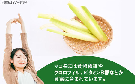 ハーブティー 体をきれいにデトックス！まこも入りハーブティー まこもはれやかブレンド ティーバック ギフト 腸活 大阪府高槻市/NPO法人フェルマータ[AOBA005]