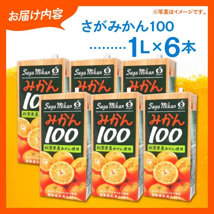 【みかんジュース】【家庭用】さがみかん100 1L×6本 [HAM039]みかんジュース 果汁100% 濃縮還元 温州
